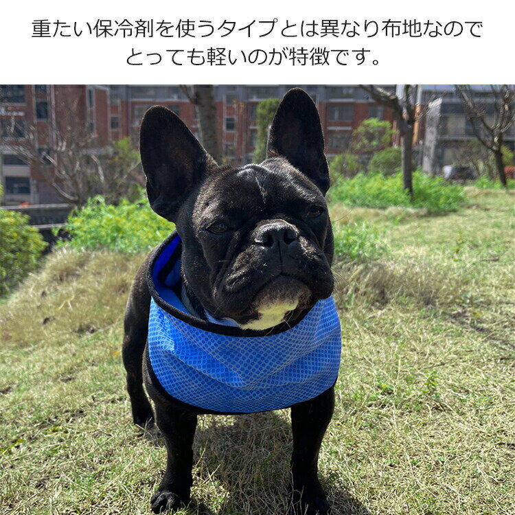 ペット用 ネッククーラー 犬 クールバンダナ 接触冷感 クール バンダナ クールネックバンド メッシュ ドッグウェア スカーフ 冷感 涼感 夏服 ひんやり 冷却 猫 子犬 小型犬 中型犬 大型犬 老犬 おしゃれ 軽量 熱中症対策 暑さ対策 散歩 犬用品