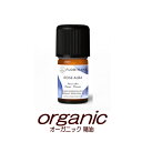 ローズ アルバ　（白バラ）　2g(2.36ml)　オーガニック精油■フロリハナ　FLORIHANA　■HEBBD規定オイル　正規輸入品■おすすめ