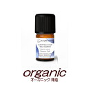 キャロットシード　ワイルドキャロット　5g(5.65ml)　オーガニック精油■フロリハナ　FLORIHANA　■HEBBD規定オイル　正規輸入品