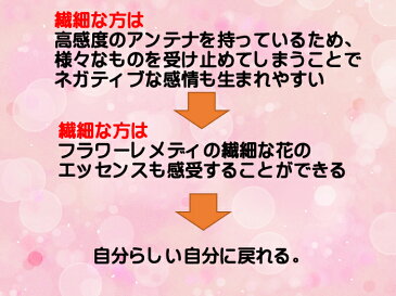 【徳用20ml】バッチフラワーレメディ【レスキュー：rescue★スプレータイプ】世界標準のアルコールベース