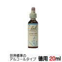 y`R[FChicoryzp20ml ob`t[fB EW̃AR[ x[Xy[֑IőzԂ߂ȂĂ悤ɁyVi2024.4/.1z