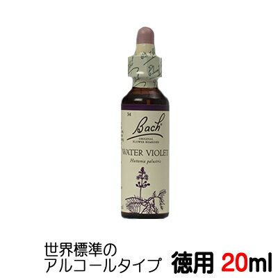 ڥХåȡWater Violetۡ20ml Хåեǥ ɸΥ륳 ١ڥ᡼...