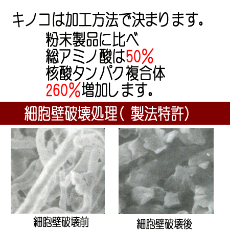 【送料無料】姫マツタケ【ヒメマツタケ：ひめまつたけ】 岩出101株 細胞壁破壊の特許製法 顆粒タイプ■おすすめ