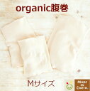 オーガニックコットン 腹巻き きなり〈Mサイズ〉■メイドインアース【メイド・イン・アース】【メール便選択で送料無料】
