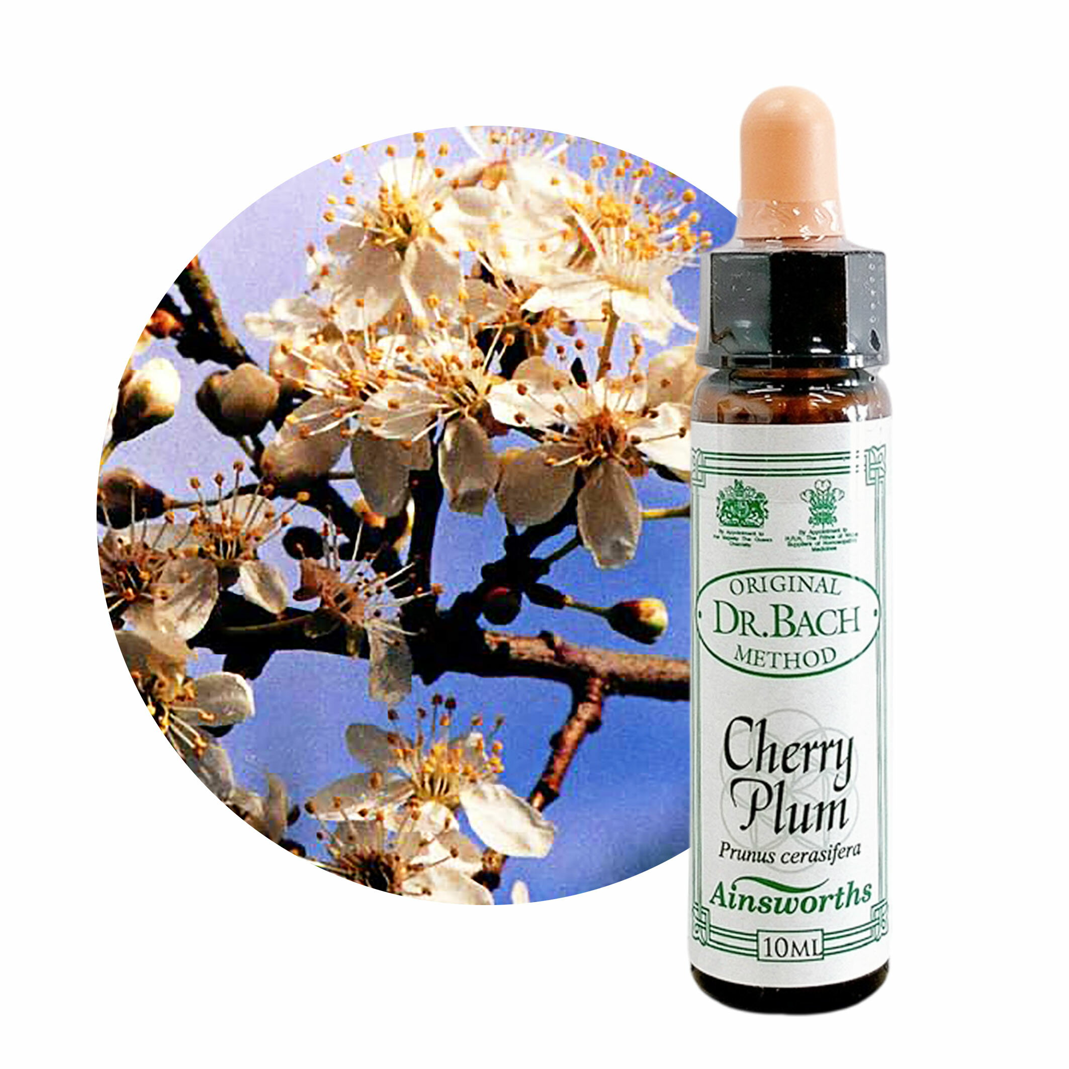 樂天商城 - チェリープラム　Cherry Plum 10ml 【英国王室御用達】エインズワース バッチフラワーエッセンス【正規輸入品】【メール便選択で送料無料】衝動買い、過食、ギャンブルなどへの 自制心