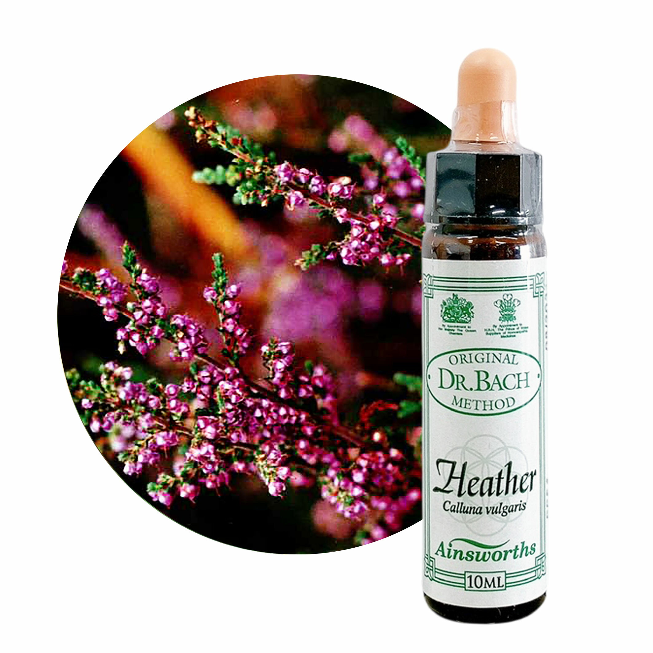 樂天商城 - ヘザーHeather　10ml 【英国王室御用達】エインズワース バッチフラワーエッセンス【正規輸入品【メール便選択で送料無料】自分を気に掛けて欲しい→思いやり