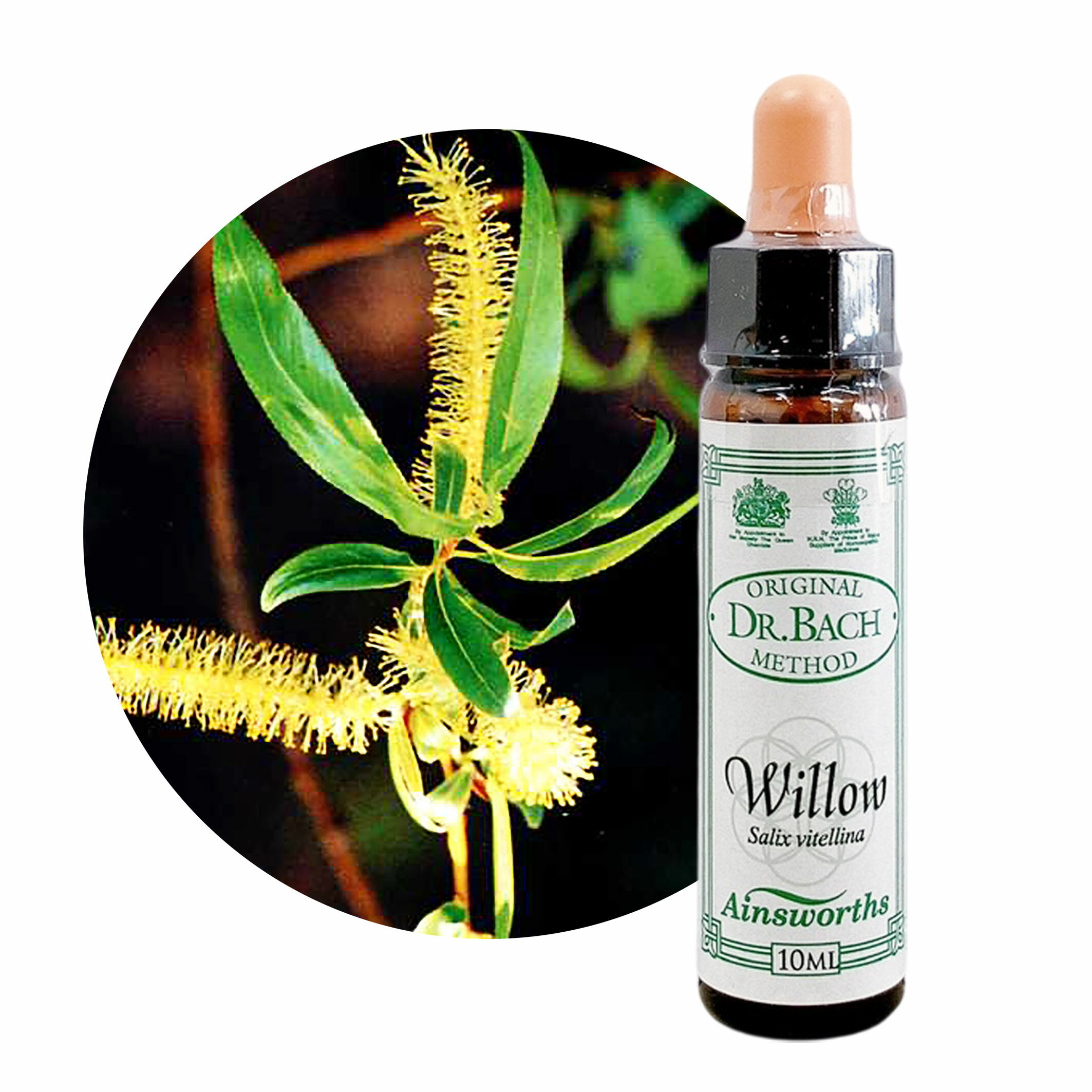 ウィロウ Willow 10ml【英国王室御用達】ウィロー エインズワース バッチフラワーエッセンス【正規輸入品【メール便選択で送料無料】不平不満 恨み→感謝の気持ち
