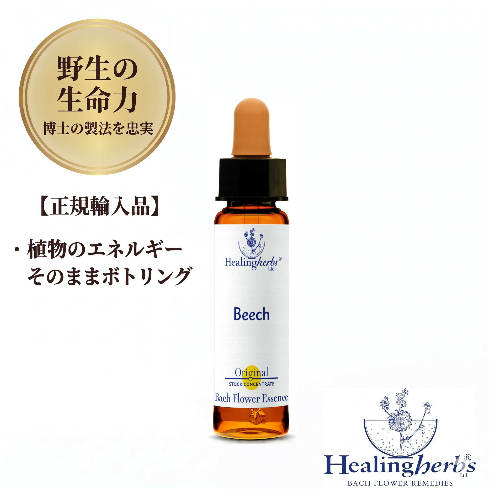 Rakuten - 【野生の生命力 1:360】ビーチ　Beech 10ml ヒーリングハーブス バッチフラワー 英国製 正規輸入品 植物の振動をそのままボトリング [人にやさしく寛容になれない] メール便選択で送料無料