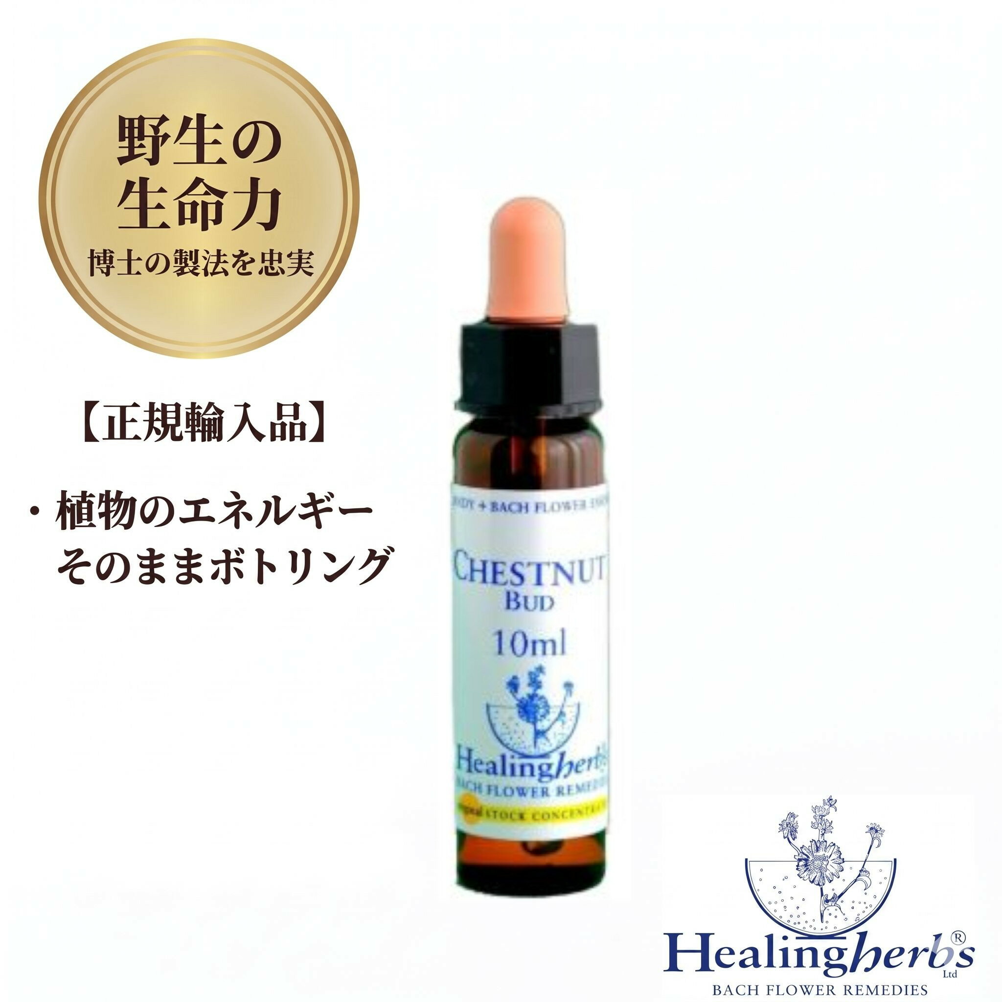 樂天商城 - 【野生の生命力 1:360】チェストナットバッド　Chestnut Bud 10ml ヒーリングハーブス バッチフラワー 英国製 正規輸入品 植物の振動をそのままボトリング [落ち着きがなく、そそっかしい] メール便選択で送料無料