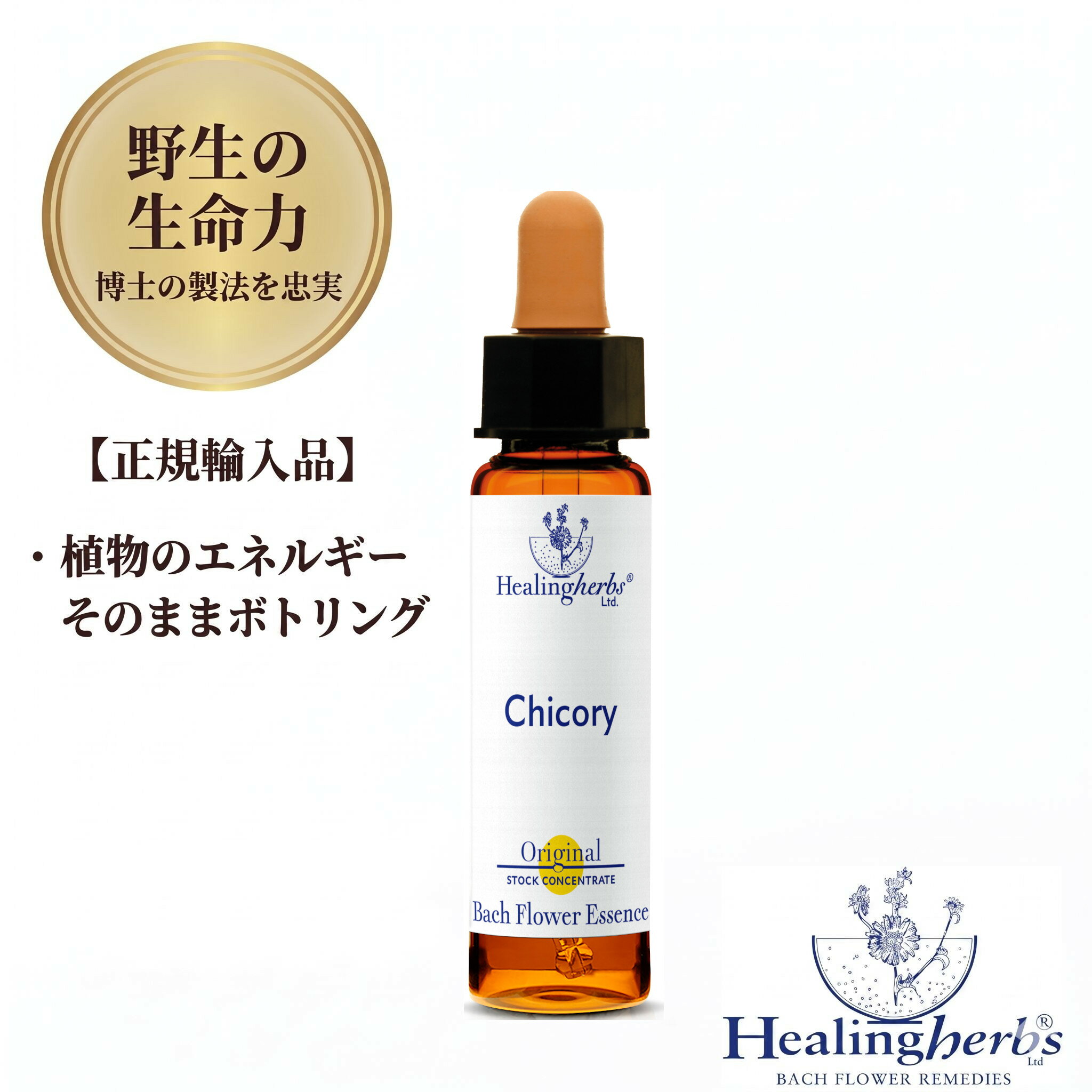 樂天商城 - 【野生の生命力 1:360】チコリー Chicory 10ml ヒーリングハーブス バッチフラワー 英国製 正規輸入品 植物の振動をそのままボトリング [見返りを求めない愛情が持てるように] メール便選択で送料無料