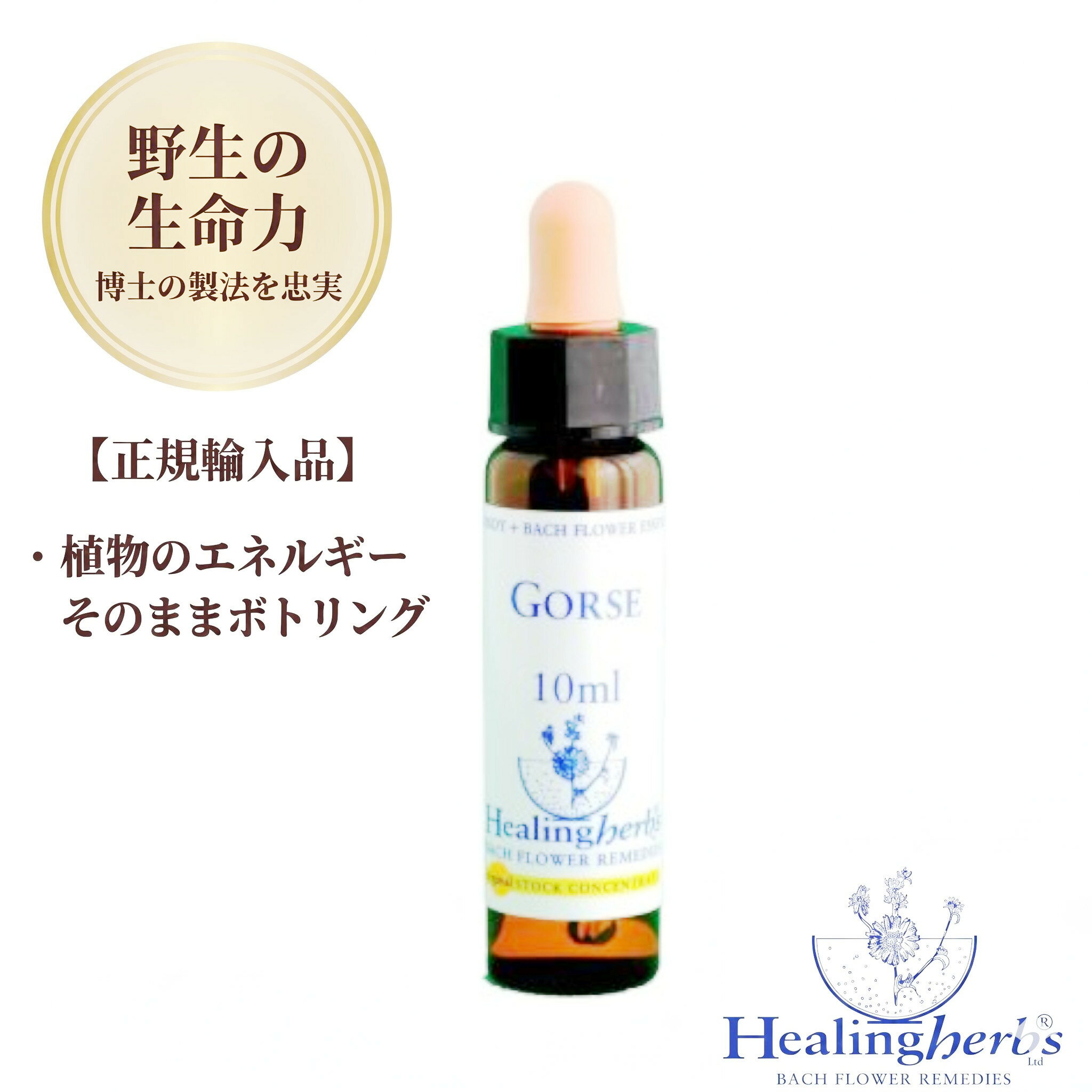 Rakuten - 【野生の生命力 1:360】ゴース　Gorse　10ml ヒーリングハーブス バッチフラワー 英国製 正規輸入品 植物の振動をそのままボトリング [まだ大丈夫だと希望が持てる］メール便選択で送料無料