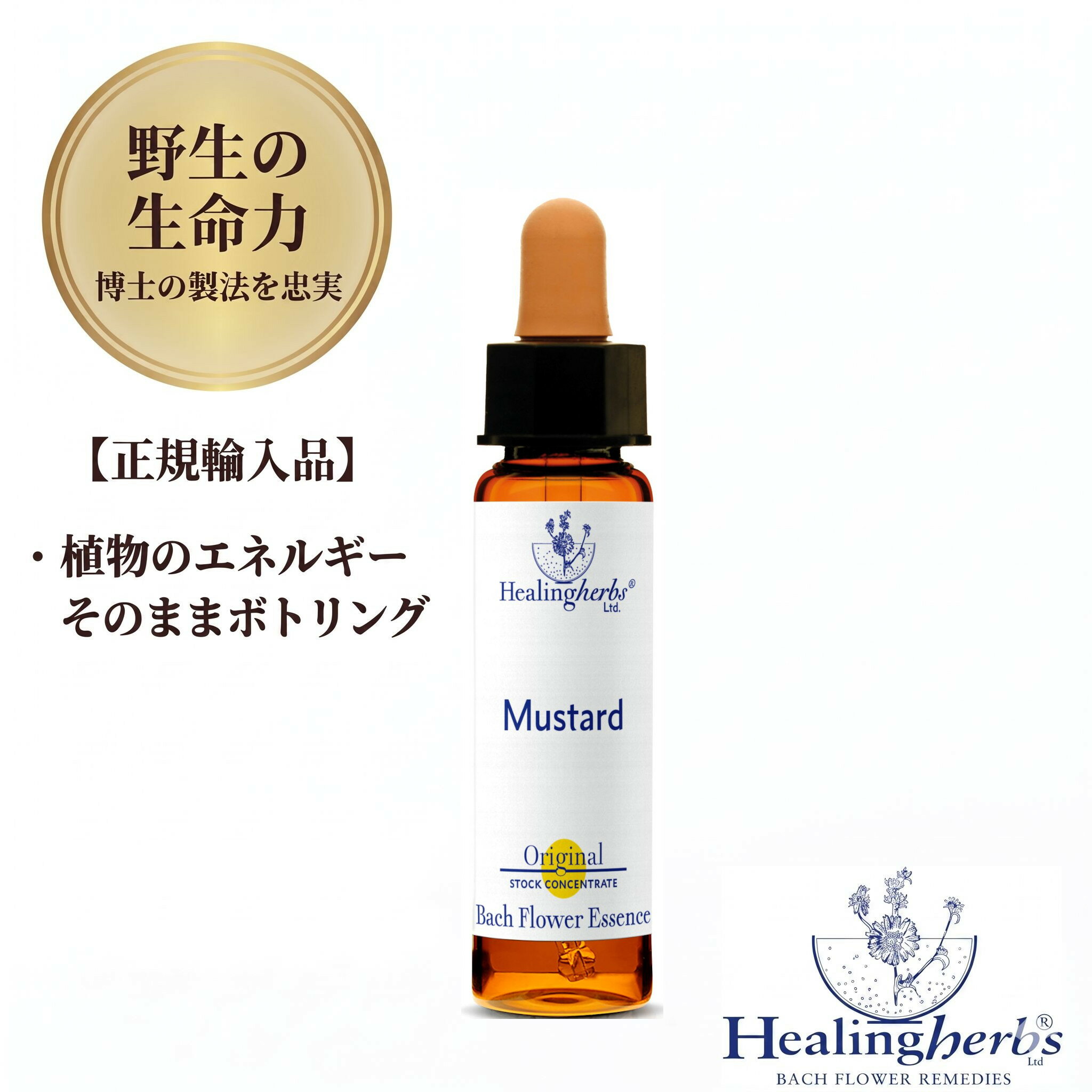 樂天商城 - 【野生の生命力 1:360】マスタード　Mustard　10ml ヒーリングハーブス バッチフラワー 英国製 正規輸入品 植物の振動をそのままボトリング 【理由もなく憂うつで落ち込む時に】 メール便選択で送料無料