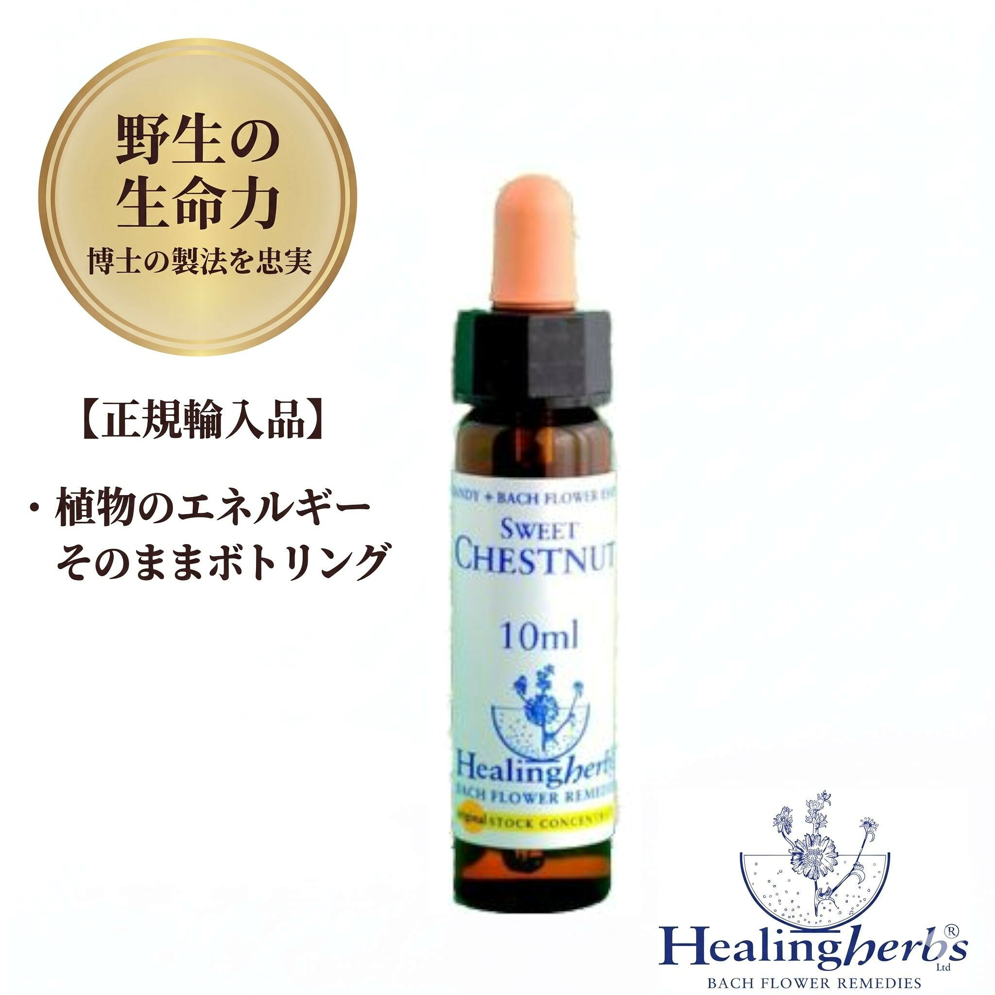 Rakuten - 【野生の生命力 1:360】スイートチェストナット　Sweet Chestnut　10ml ヒーリングハーブス バッチフラワー 英国製 正規輸入品 植物の振動をそのままボトリング 【希望の光が見えない時に】 メール便選択で送料無料