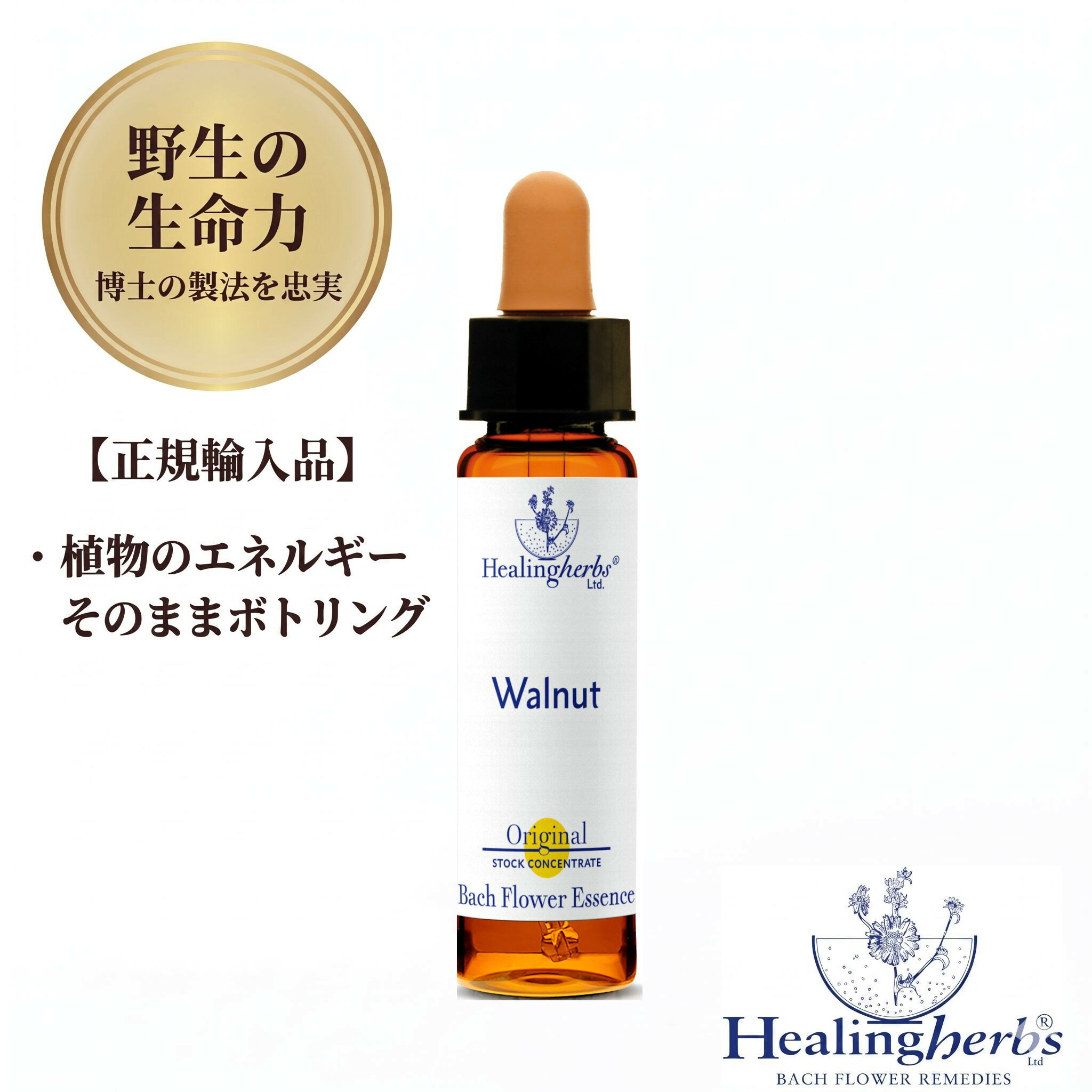 Rakuten - 【野生の生命力 1:360】ウォールナット（ウォルナット）Walnut　10ml ヒーリングハーブス バッチフラワー 英国製 正規輸入品 植物の振動をそのままボトリング 【気持ちの切り替えが早くなる】 メール便選択で送料無料
