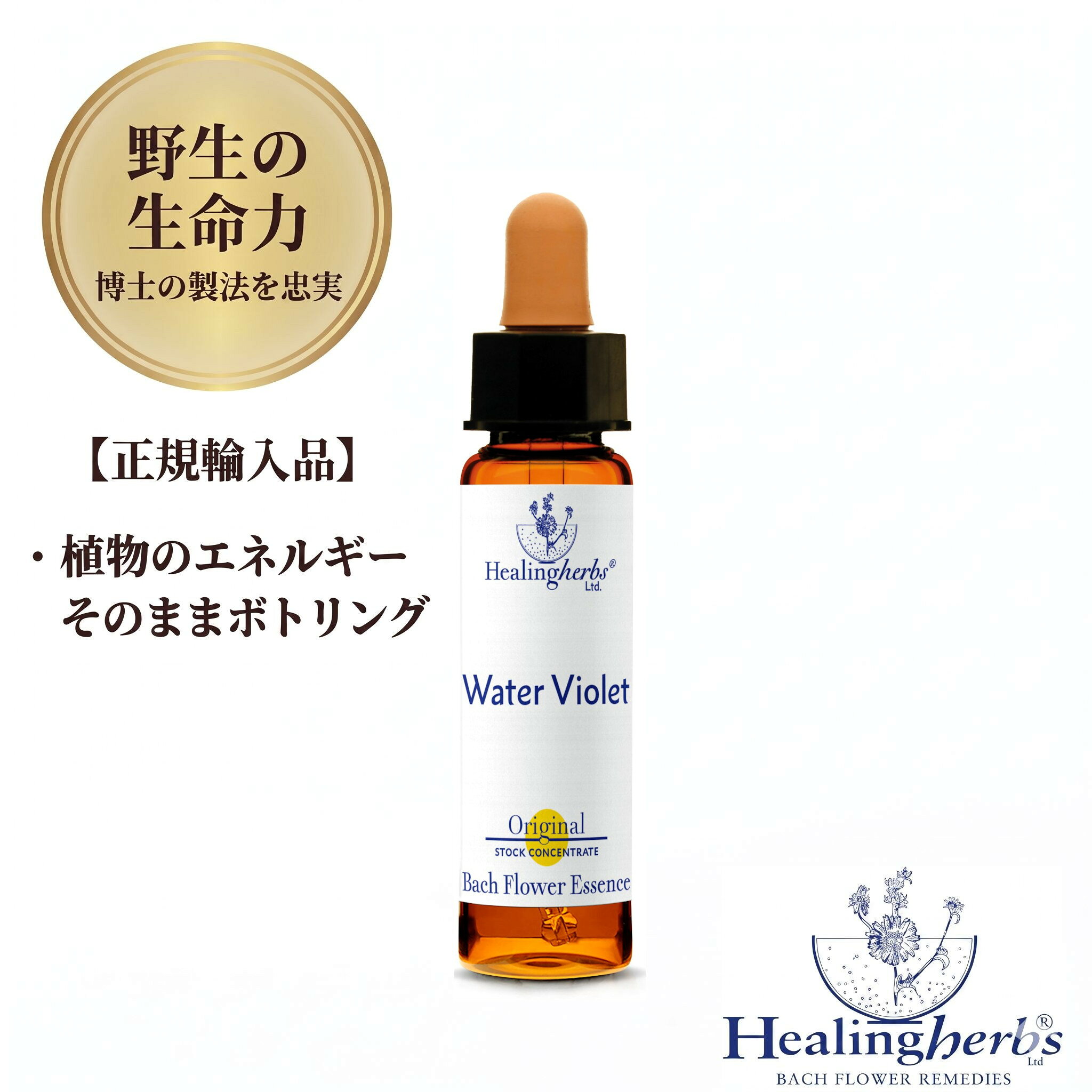 樂天商城 - 【野生の生命力 1:360】ウォーターバイオレット　Water Violet　10ml ヒーリングハーブス バッチフラワー 英国製 正規輸入品 植物の振動をそのままボトリング 【人に共感できるようになる】 メール便選択で送料無料