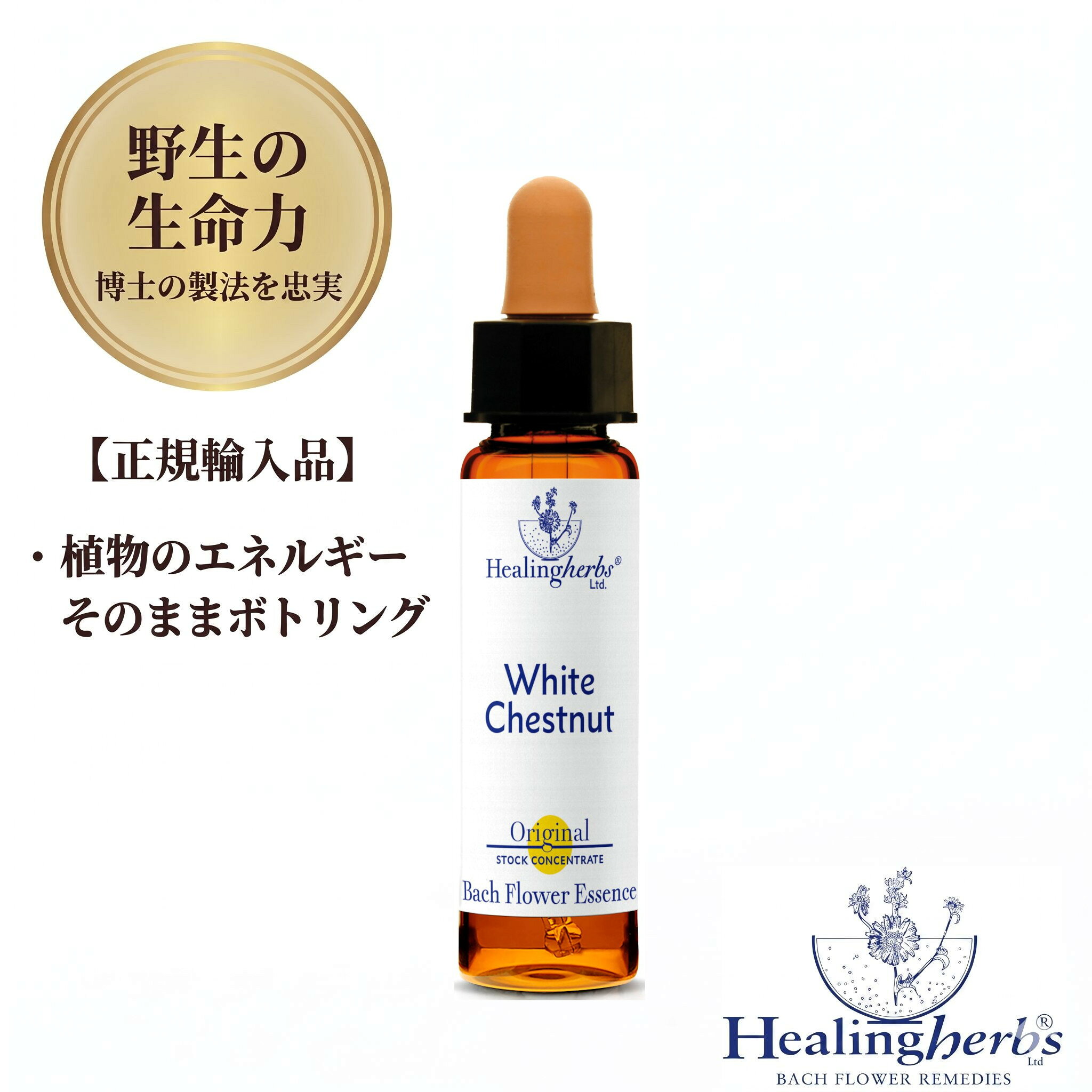 樂天商城 - 【野生の生命力 1:360】ホワイトチェストナット　White Chestnut　10ml ヒーリングハーブス バッチフラワー 英国製 正規輸入品 植物の振動をそのままボトリング 【心配事が堂々めぐりで落ち着かない】 メール便選択で送料無料