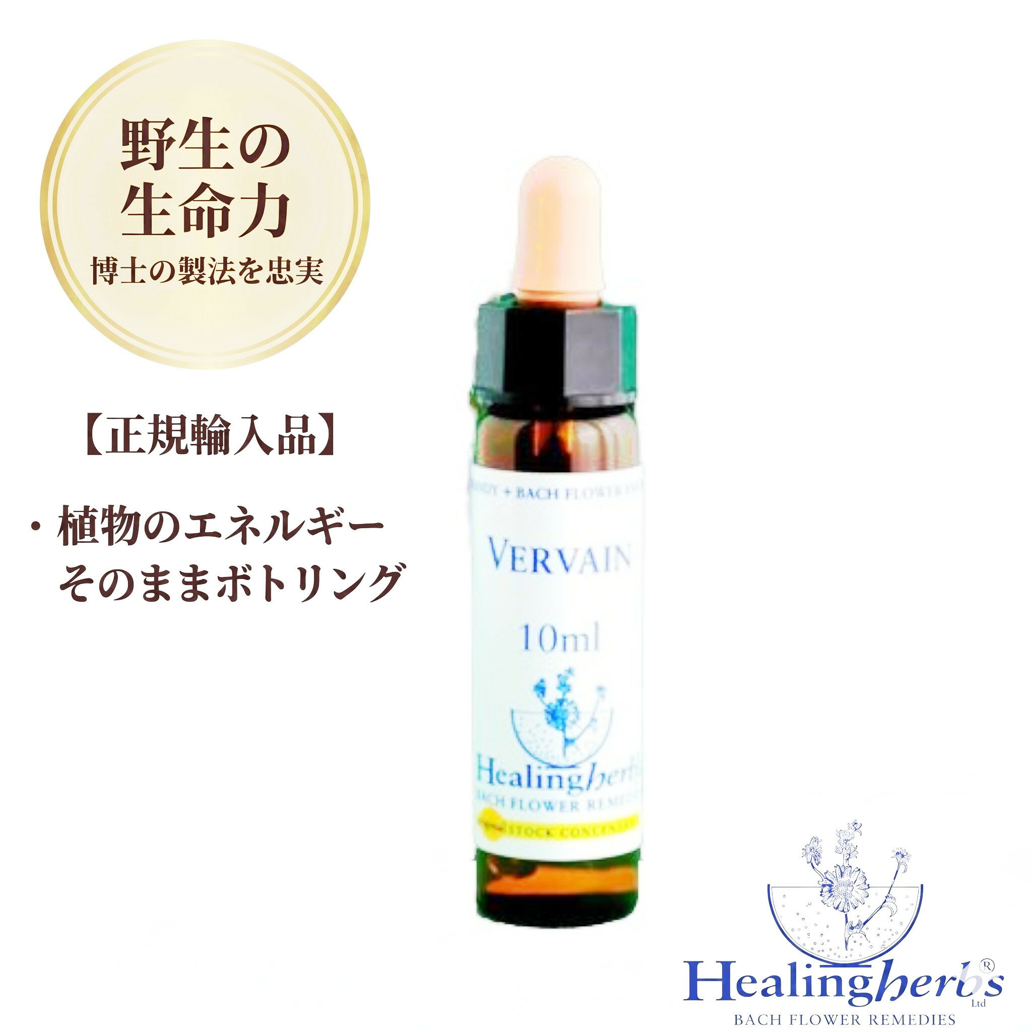 樂天商城 - 【野生の生命力 1:360】バーベイン　Vervain　10ml ヒーリングハーブス バッチフラワー 英国製 正規輸入品 植物の振動をそのままボトリング 【信じるものに盲目で広い視野が持てない】 メール便選択で送料無料