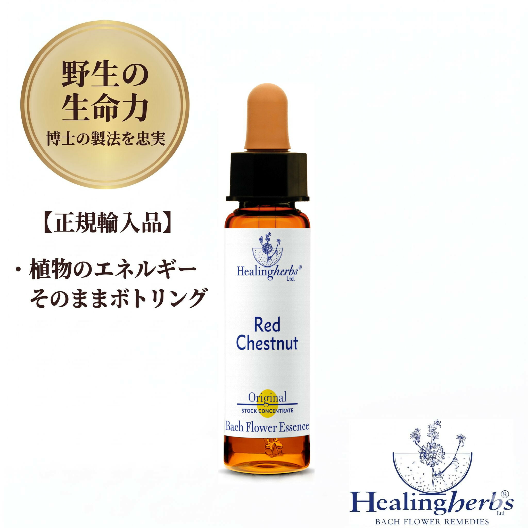 Rakuten - 【野生の生命力 1:360】レッドチェストナット　Red Chestnut　10ml ヒーリングハーブス バッチフラワー 英国製 正規輸入品 植物の振動をそのままボトリング 【 過保護、お節介】 メール便選択で送料無料