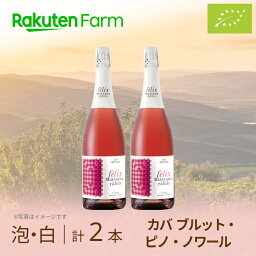 オーガニック スパークリングワイン カバ ブルット・ピノ・ノワール（泡ロゼ）750ml×2本