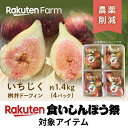 【発送中】静岡県産いちじく”桝井ドーフィン” 約1.4kg(4パック) ★8月上旬〜11月上旬頃お届け予定★ さっぱりとした甘みの王道赤イチジク 望月園芸 こだ...