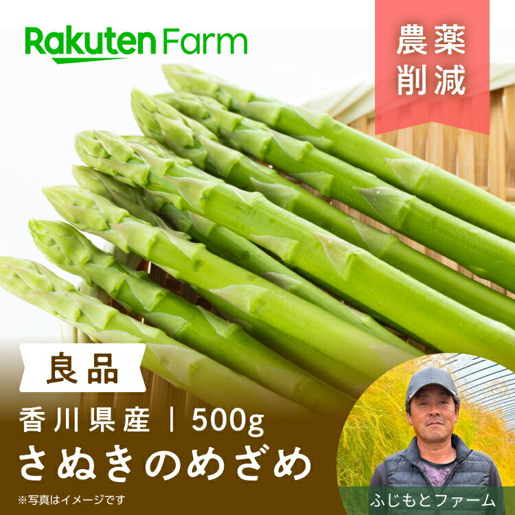 【ご注文順に発送中！】アスパラガス「さぬきのめざめ」良品500g◆春芽2月下旬～6月中旬頃お届け予定◆甘くやわらかい～春のフレッシュな味わい～ふじもとファーム楽天ファームこだわり農家直送