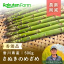 【ご注文順に発送中！】アスパラガス「さぬきのめざめ」秀優品500g◆春芽2月下旬～5月下旬頃お届け予定◆甘くやわらかい～春のフレッシュな味わい～ふじもとファーム楽天ファームこだわり農家直送