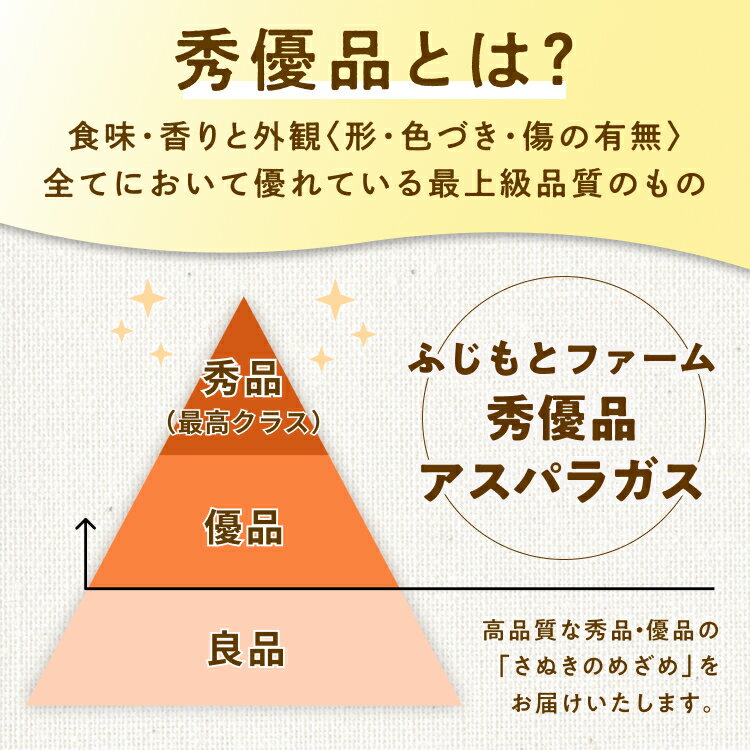 【ご注文順に発送中！】アスパラガス「さぬきのめざめ」秀優品500g◆春芽2月下旬～6月中旬頃お届け予定◆甘くやわらかい～春のフレッシュな味わい～ふじもとファーム楽天ファームこだわり農家直送 2