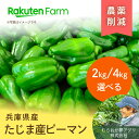 【ご注文順に発送】兵庫県産肉厚ピーマン2kg/4kg ★6月下旬~11月上旬頃発送★むらおか夢アグリ株式会社 楽天ファームこだわり農家直送
