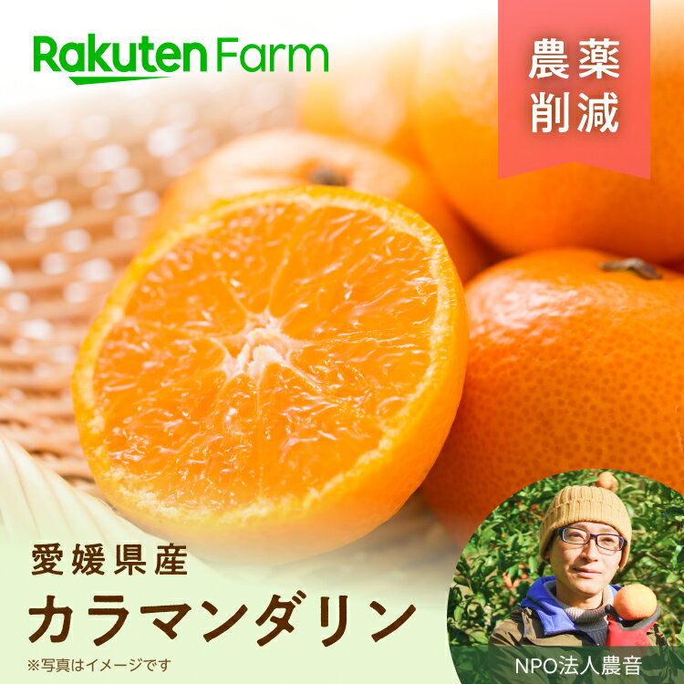 「育てられない柑橘はない」と言われるほど柑橘を生産するのに適した瀬戸内の中島産の農薬削減のカラマンダリンです。農薬使用量をできるだけ控え、ワックスも使用しておりません。初夏に温州みかん感覚で食べることができ、春先まで樹上で完熟させるのでとに...