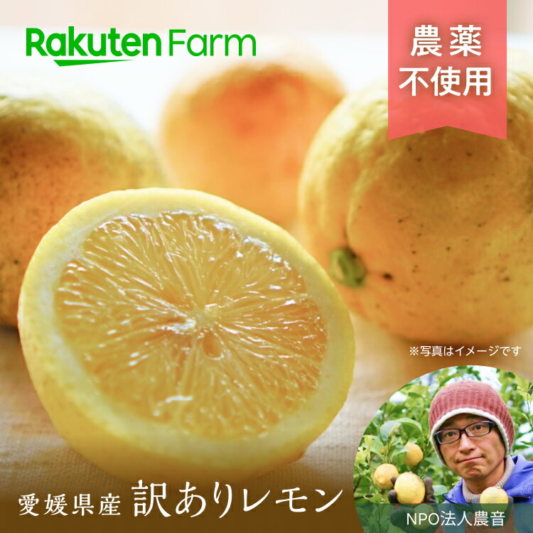【ご注文順に発送】愛媛県産農薬不使用レモン2kg/5kg 12月~5月頃順次発送 太陽と潮風を浴びた ミネラルたっぷり 農家さん一押し!塩レモンもおすすめ愛媛県中島 NPO法人農音 楽天ファームこだわり農家直送
