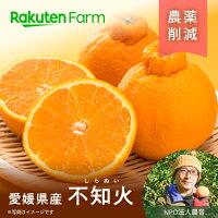 愛媛県産不知火(しらぬい)2kg/5kg ★2月下旬~3月中旬頃発送開始予定★甘くコクのある果肉&ジューシーな味わい愛媛県中島 NPO法人農音 楽天ファームこだわり農家直送