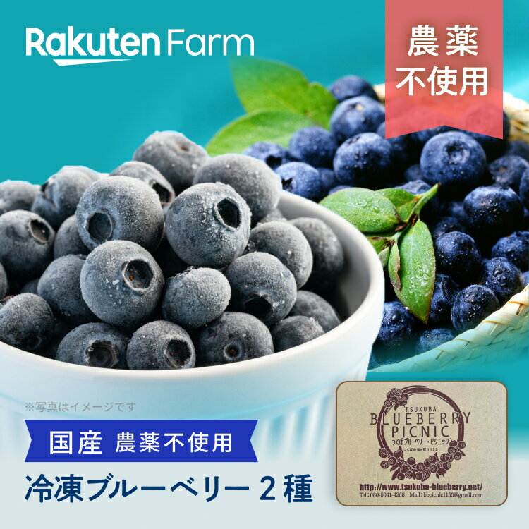 農薬不使用の国産冷凍ブルーベリー2種食べ比べセット 500g/1kg(1パック250g入) 茨城県つくば市産ブルーベリー 楽天フ…