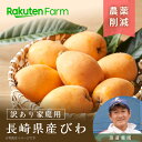 【予約】品種が選べる！”訳あり”長崎県産びわ(長崎早生・涼風・なつたより) 1kg ★長崎早生は4月上旬～・涼風は4月下旬頃～・なつたより..