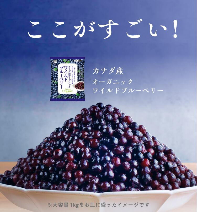 有機JAS認証 冷凍ブルーベリー カナダ産ワイルドブルーベリー 150gx1袋｜Revege オ...