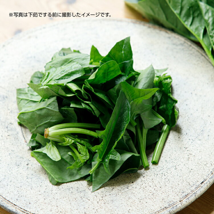 有機JAS認証 国産 冷凍ほうれん草 150g × 2袋｜オーガニック Revege 時短調理 小分...