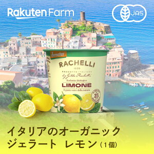 【冷凍】オーガニック　ジェラート（レモン）125ml（100g）×1個　ジルド・ラケーリ