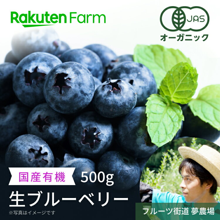 【くだもの祭り】【予約商品】有機　生ブルーベリー500g　こだわり農家直送　千葉県木更津市　有機JAS認証