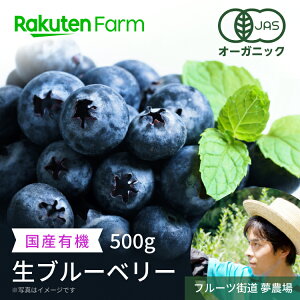 【くだもの祭り】【予約商品】有機 生ブルーベリー500g こだわり農家直送 千葉県木更津市 有機JAS認証