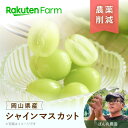 【予約】岡山県産シャインマスカット 480g/850g/1.8kgから選べる|9月上旬?下旬頃お届け予定|ばんの農園 楽天ファームこだわり農家直送