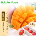 【発送中】農薬不使用の完熟マンゴー約1kg(贈答用/2~3玉) ★7月中旬~8月中旬頃お届け予定★ MOA自然農法:農薬・化学肥料・除草剤・消毒剤完全不使用 沖縄県産アップルマンゴー こだわり農家直送 沖縄マンゴー生産研究会