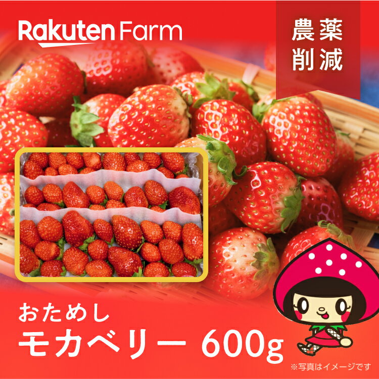 【発送中】お試しモカベリー約600gちょっと訳ありお得なご家庭用完熟苺をたっぷり！三重県伊賀市の苺農家はなだふぁーむから産地直送楽天ファームこだわり農家直送※北海道・沖縄・離島地域配送不可