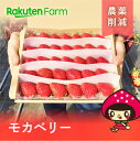 【発送中】ちょっと大きめサイズのモカベリー約630g (通常品/三重県産いちご) ★2月上旬〜5月下旬頃お届け予定★ ひとと環境にやさしい『みえの安心食材』認定...