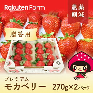 発送中【メッセージカード無料】プレミアムモカベリー【贈答用】約270g×2パック(12～30粒)つやつやで真っ赤な苺をオリジナル化粧箱と専用トレーでお届け三重県伊賀市はなだふぁーむ楽天ファームこだわり農家直送※北海道・沖縄・離島地域配送不可※