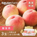 【発送中】あら川の桃 (3玉入/贈答用) 和歌山県桃山町産の白桃 ★7月下旬~8月上旬頃お届け予定★旬に合わせて品種おまかせ 日川白鳳・白鳳・なつっこ・清水白桃・川中島 橋村農園 こだわり農家直送