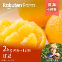 農薬不使用 愛媛県産甘夏2kg ★3月～4月頃お届け予定★スッキリとした甘さとほろ苦さ楽天ファームこだわり農家直送　 NPO法人農音