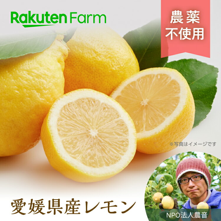 【ご注文順に発送中！】　愛媛県産農薬不使用レモン2kg/5kg ★1月～5月頃お届け予定★ 太陽と潮風を浴びた ミネラルたっぷり 農家さん一押し！塩レモンもおすすめ愛媛県中島 NPO法人農音 楽天ファームこだわり農家直送