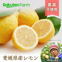 　愛媛県産農薬不使用レモン2kg/5kg ★1月～5月頃お届け予定★ 太陽と潮風を浴びた ミネラルたっぷり 農家さん一押し！塩レモンもおすすめ愛媛県中島 NPO法人農音 楽天ファームこだわり農家直送