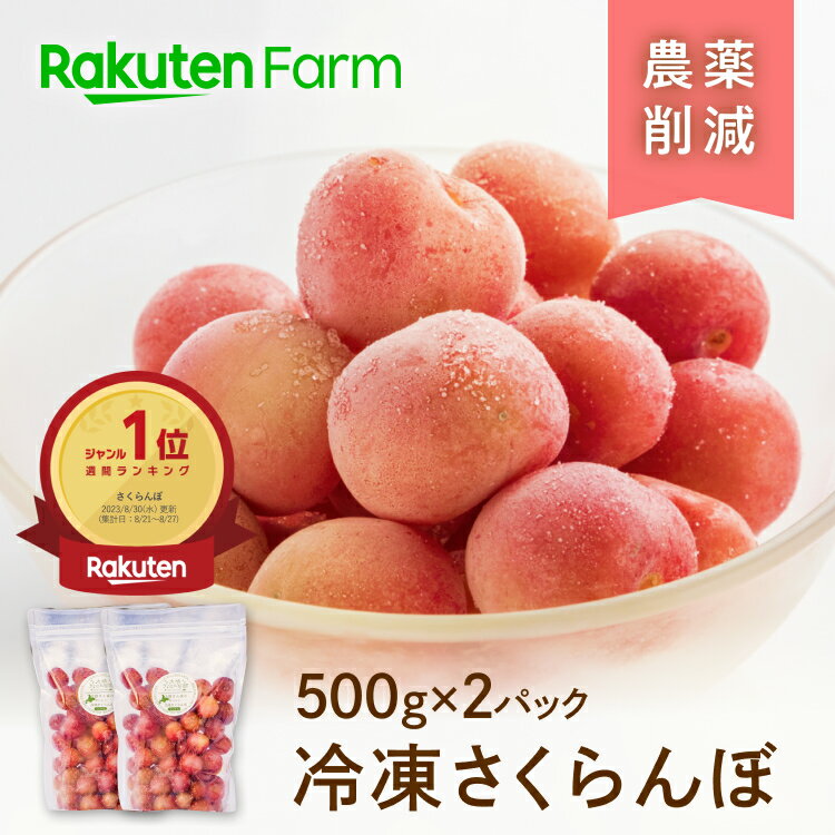 【日時指定可】国産冷凍さくらんぼ約1kg(500g×2パック) 日時指定OK★ご注文確定後最短4日で発送★ 佐藤錦・紅秀峰・南陽・勝錦・平和錦をミックス 化学肥料・防腐剤・保存料不使用 大橋さくらんぼ園　楽天ファームこだわり農家直送