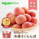 【母の日ギフト】国産冷凍さくらんぼ約1kg(500g×2パック) 日時指定OK★ご注文確定後最短4日で発送★ 佐藤錦・紅秀峰・南陽・勝錦・平和錦をミックス 化学肥料・防腐剤・保存料不使用 大橋さくらんぼ園　楽天ファームこだわり農家直送