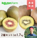 【1週間以内を目安に発送】愛媛県産キウイ赤黄2種セット 紅妃(こうひ)&センセーションアップル 約1.7kg ★12月上旬~2月上旬頃お届け予定★ 追熟済み食べ頃でお届け かわいい宝箱BOXはギフト・御歳暮にも スマイル農園たかの 楽天ファームこだわり農家直送